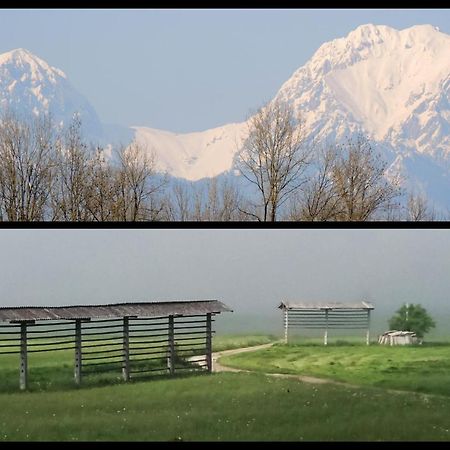 Mamut Stay Kamnik Exteriér fotografie